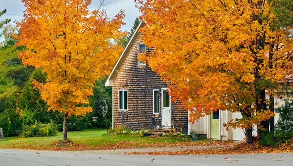 Gartenarbeit im Herbst: Rechte und Pflichten an der Grundstücksgrenze