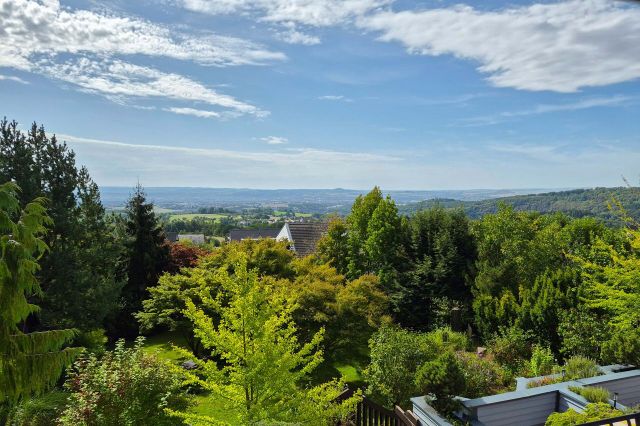 Fernblick