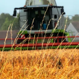 ca. 3,26 ha Ackerland zu verkaufen