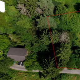 Baugrundstück in idyllischer Hanglage mit altem Waldbestand – ruhig gelegen in Windeck!