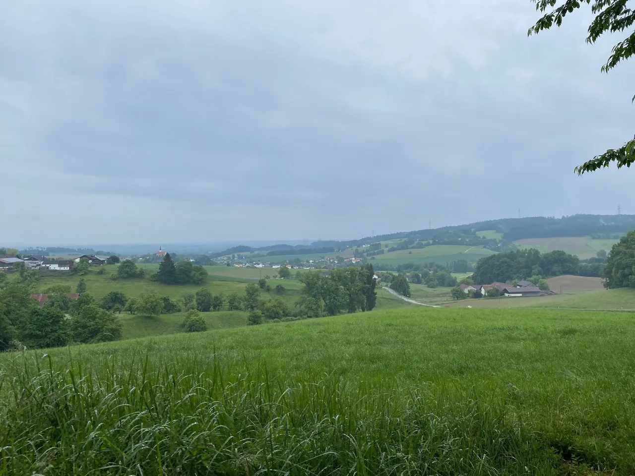 Ausblick