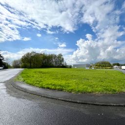 Großes Gewerbegrundstück zu verpachten! 
Direkt an der Bundesstraße in Hachenburg!