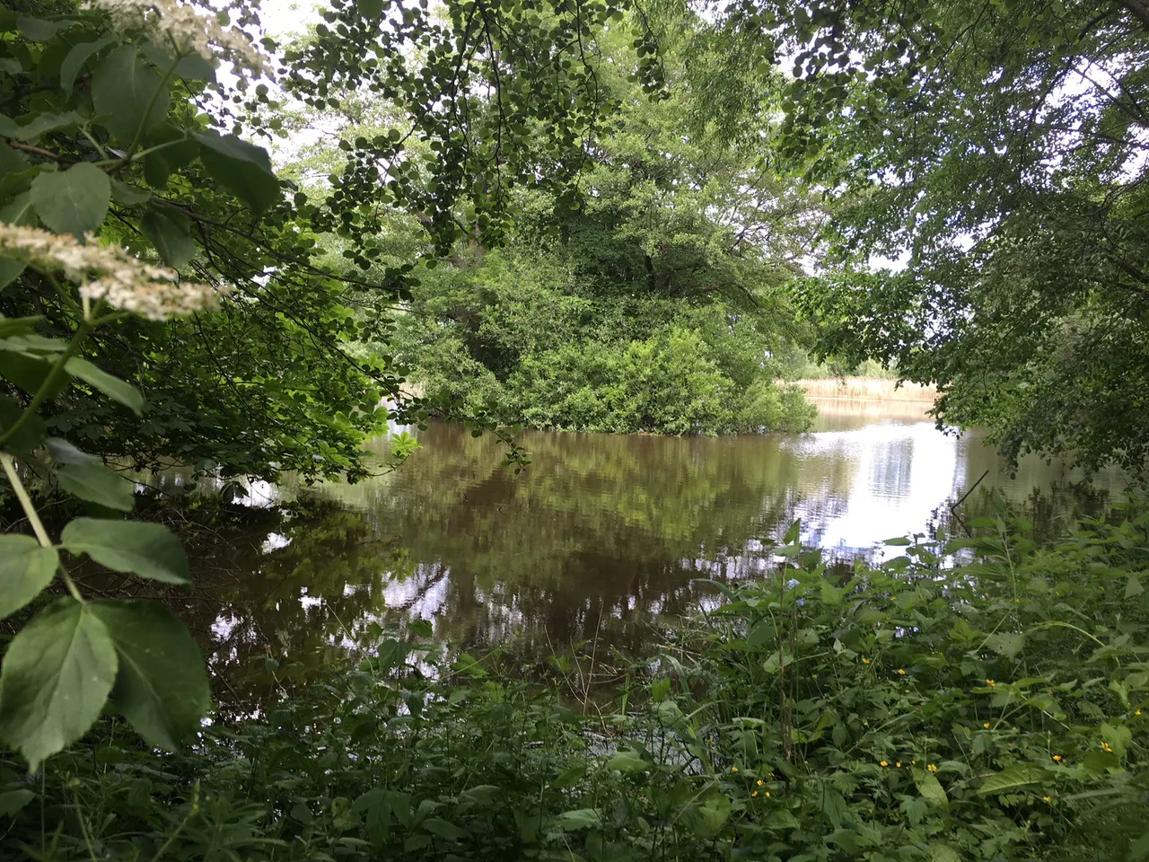 Idylle am See