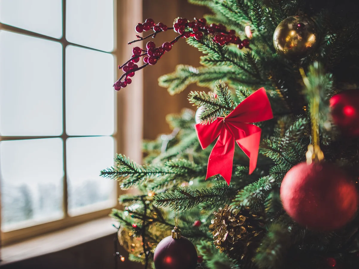 Geschmückter Weihnachtsbaum am Fenster