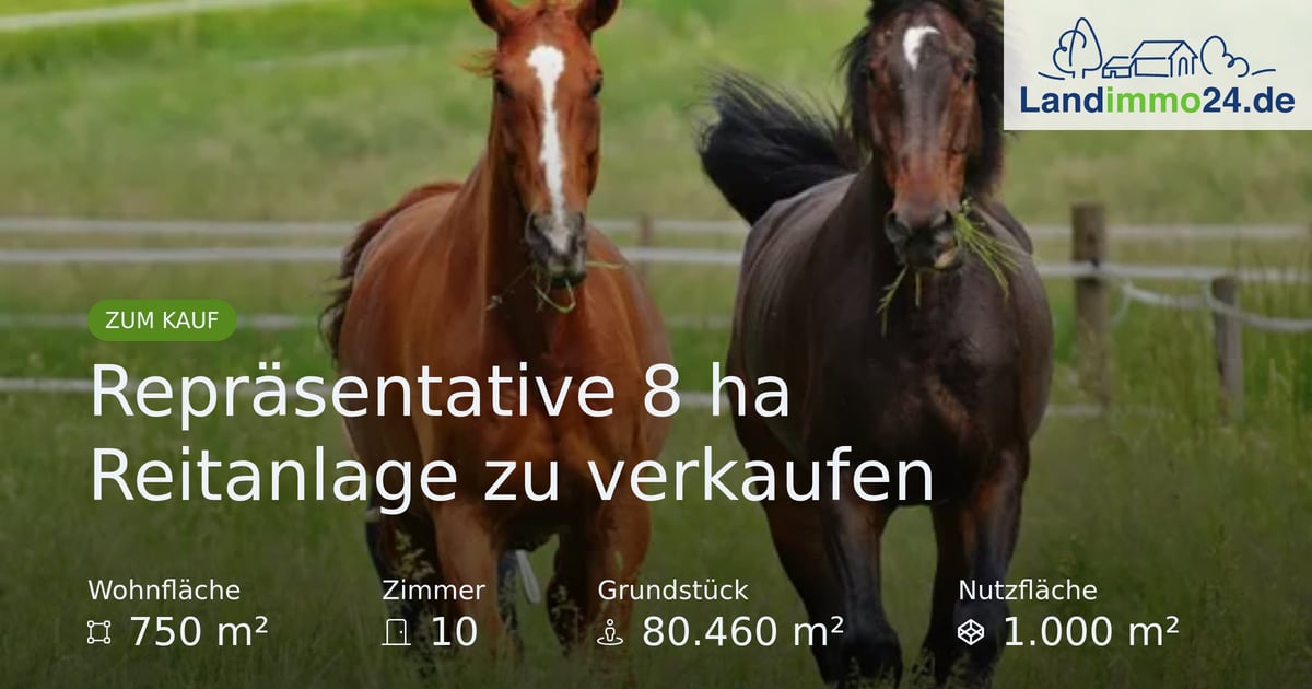 Representative 8 ha Equestrian Facility for Sale
